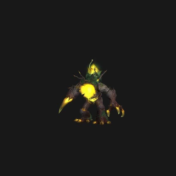 Ziekket